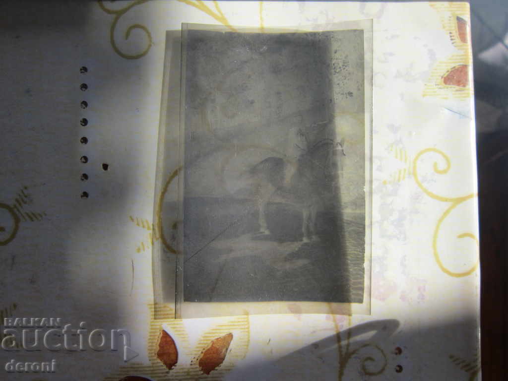 Photo Negative German Soldier Rider Officer WW2 Third Reich 8 with price 10.00 BGN | € 5.11 Photo Negative German Soldier Rider Officer WW2 Third Reich 8 with price 10.00 BGN | € 5.11