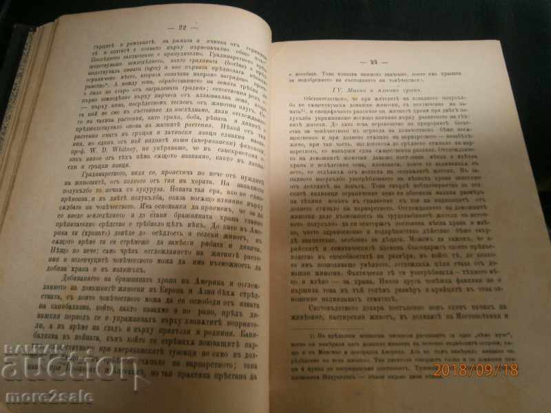 DR.L. MORGAN - PUBLIC SOCIETY - 1899 AD / 578 STP - 5