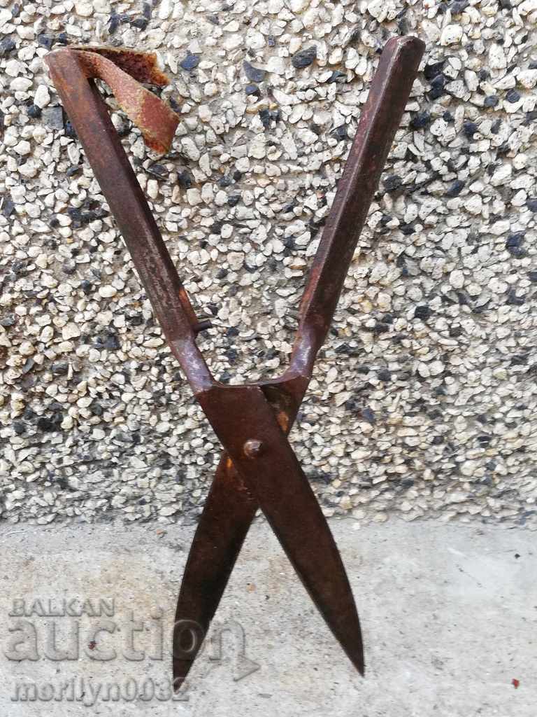 Delivery of Old garden scissors 20 years old Delivery of Old garden scissors 20 years old