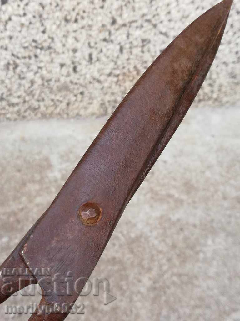 Old garden scissors 20 years old - 5 Old garden scissors 20 years old - 5
