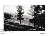 Postcard Yundola Kingdom Bulgaria PK