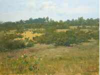 Fields near Arbanassi - oil paint