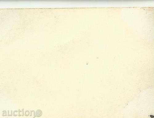 Παλιά καρτ-ποστάλ, καλλιτέχνες με τιμή 1.00 BGN | € 0.51 Παλιά καρτ-ποστάλ, καλλιτέχνες με τιμή 1.00 BGN | € 0.51