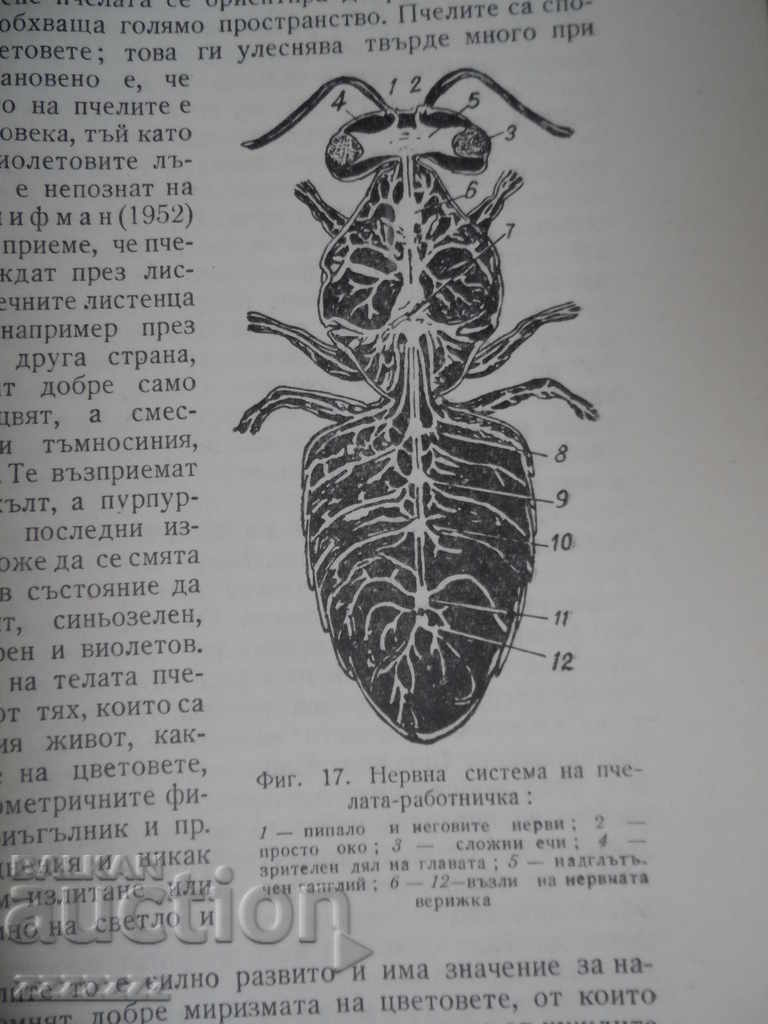 BEEKEEPING - 5 BEEKEEPING - 5