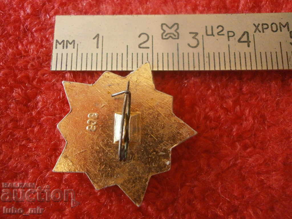 BADGE - WARRIOR SPORTSMAN - RUSSIA with price 2.00 BGN | € 1.02