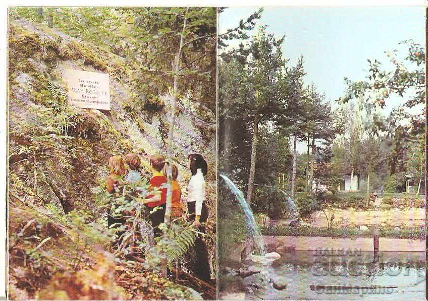 Auction  Картичка България Dobrinishte Album with views