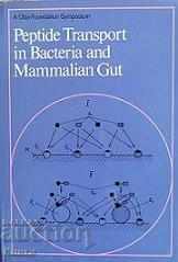 Peptide de transport în bacterii și stomac de mamifere
