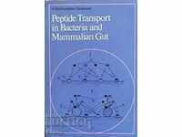 Transport Peptides in Bacteria and Mammalian Gut
