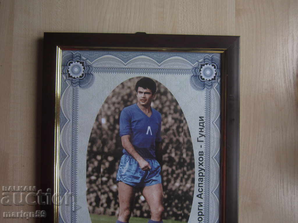 Auction  Gundi in full length - a great look