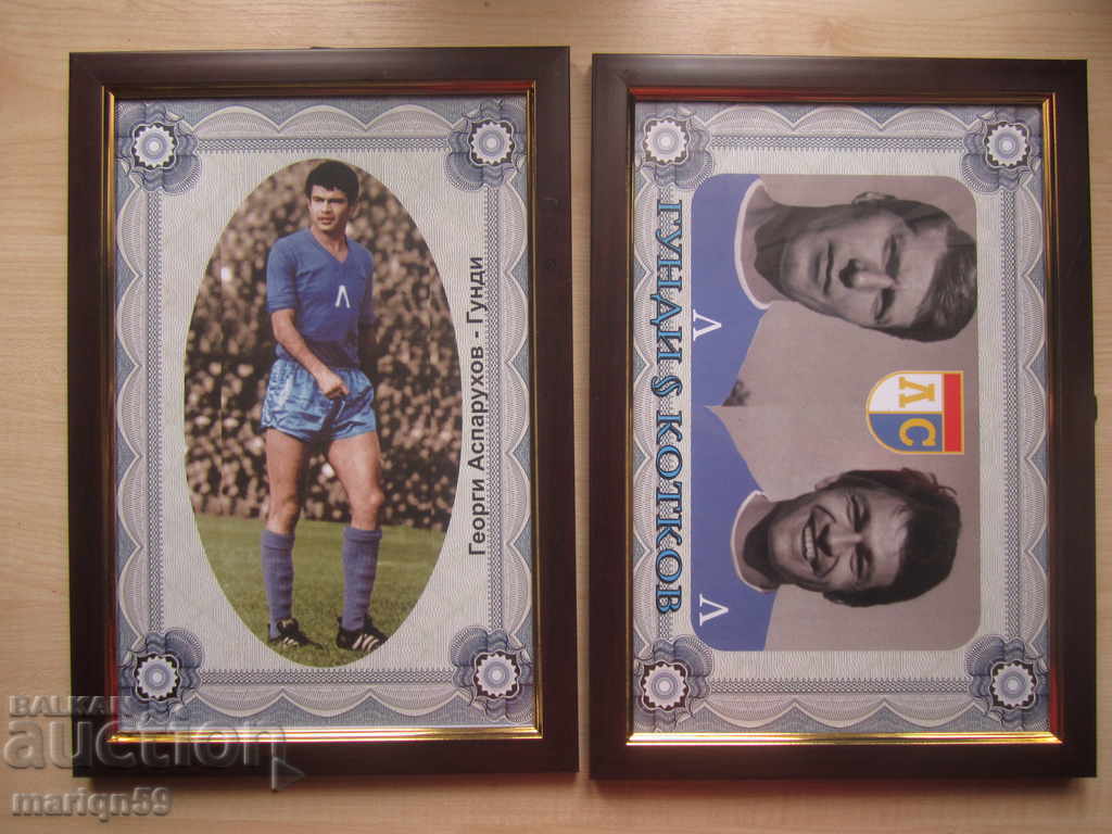 Delivery of Gundi in full length - a great look