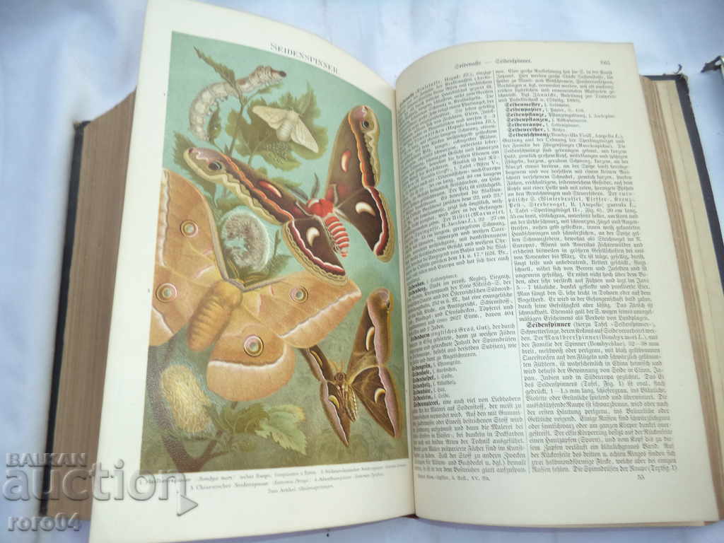 MAYERS LEXICON / MEYERS KONVERSATIONS LEXIKON - 1897 - 7 MAYERS LEXICON / MEYERS KONVERSATIONS LEXIKON - 1897 - 7