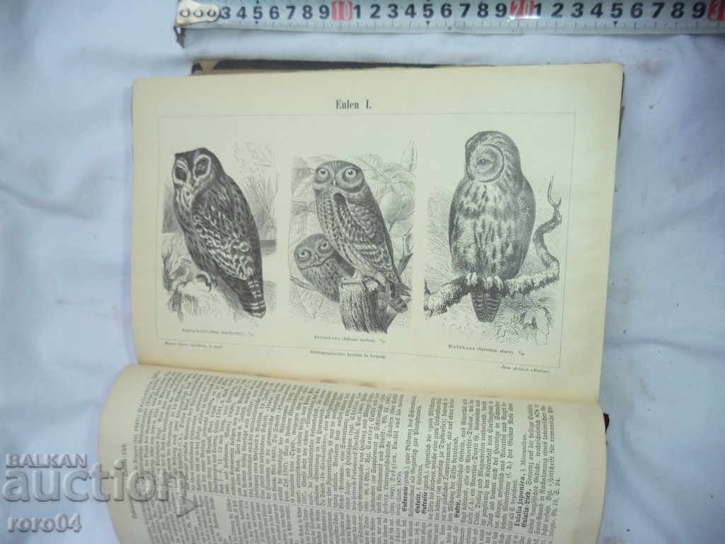 Auction MAYERS LEXIKON / MEYERS KONVERSATIONS LEXIKON - 1894 Auction MAYERS LEXIKON / MEYERS KONVERSATIONS LEXIKON - 1894