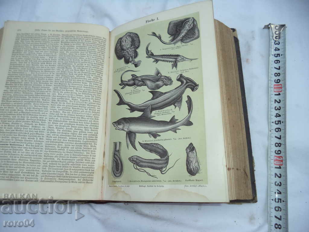 MAYERS LEXIKON / MEYERS KONVERSATIONS LEXIKON - 1894 - 6 MAYERS LEXIKON / MEYERS KONVERSATIONS LEXIKON - 1894 - 6