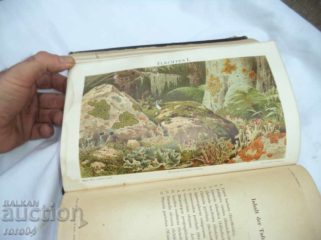 MAYERS LEXIKON / MEYERS KONVERSATIONS LEXIKON - 1894 - 7 MAYERS LEXIKON / MEYERS KONVERSATIONS LEXIKON - 1894 - 7