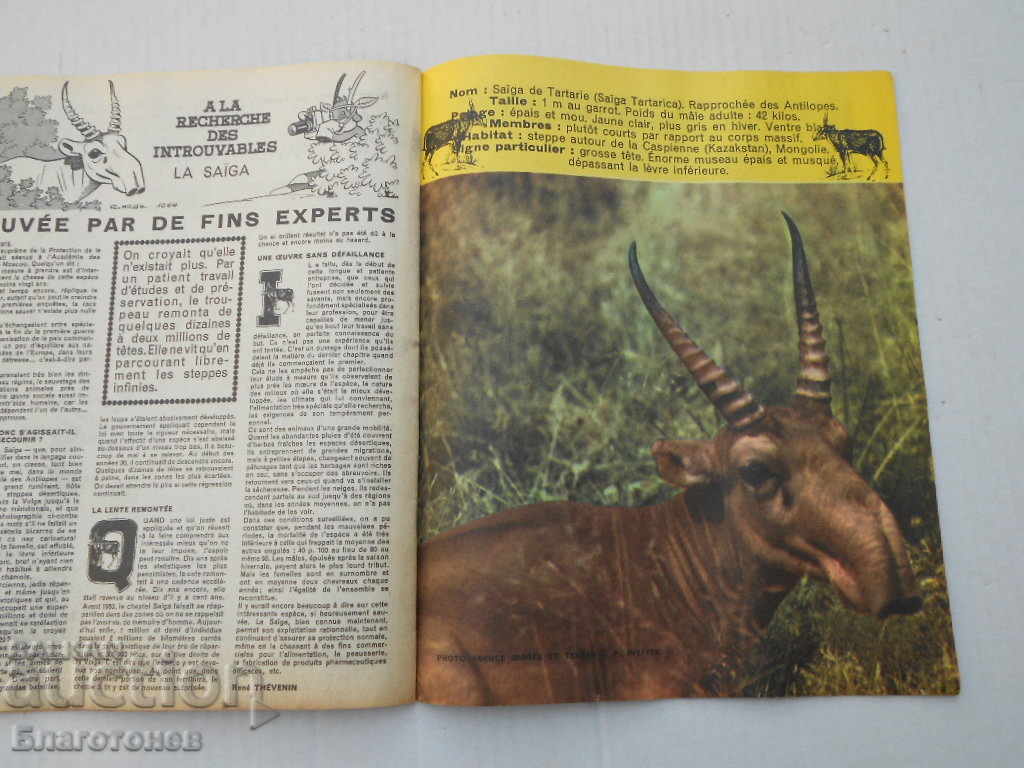 PIF Magazine - 5 PIF Magazine - 5