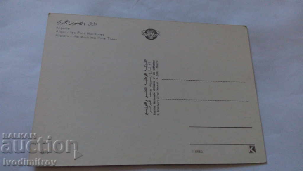 Postcard Algiers The Maritime Pine Trees with price 0.55 BGN | € 0.28 Postcard Algiers The Maritime Pine Trees with price 0.55 BGN | € 0.28