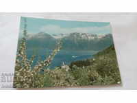 Postcard Norway Utne Hardanger Fjord