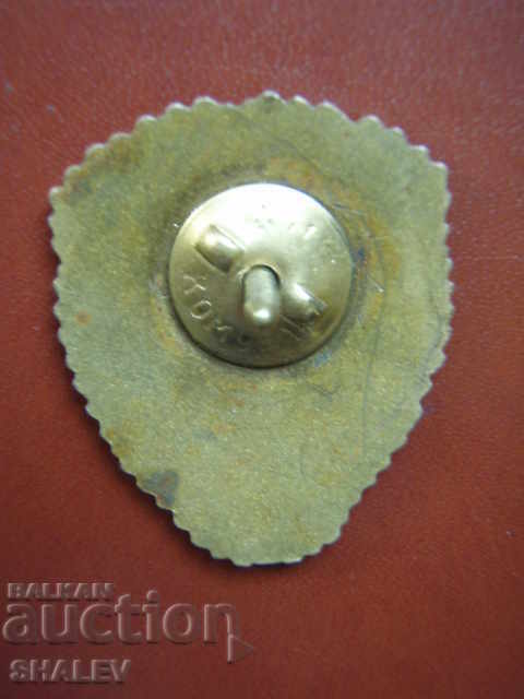 Leading Military Badge - Romania / On Screw - Excellent! - 6 Leading Military Badge - Romania / On Screw - Excellent! - 6