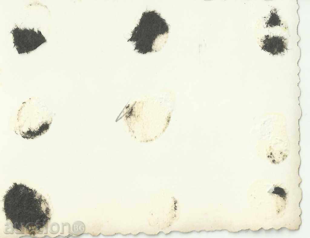 Old photo, small format, motorcycle with price 5.00 BGN | € 2.56 Old photo, small format, motorcycle with price 5.00 BGN | € 2.56