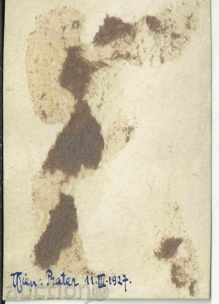 Old photo, small format, Ferris wheel with price 5.00 BGN | € 2.56 Old photo, small format, Ferris wheel with price 5.00 BGN | € 2.56