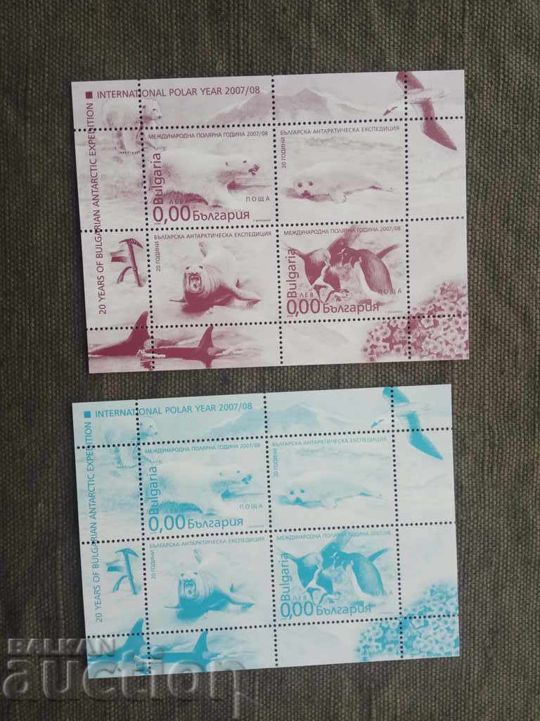 International Polar Year - Two Blocks International Polar Year - Two Blocks