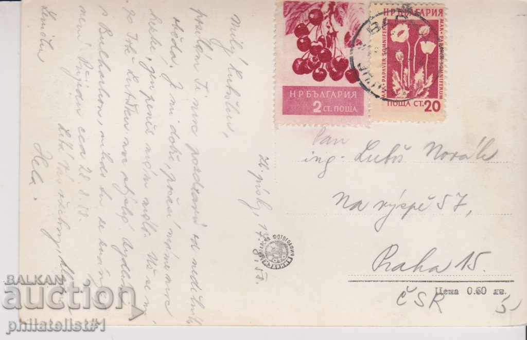 VARNA CARD - VIEW about 1960 In 173 with price 5.00 BGN | € 2.56