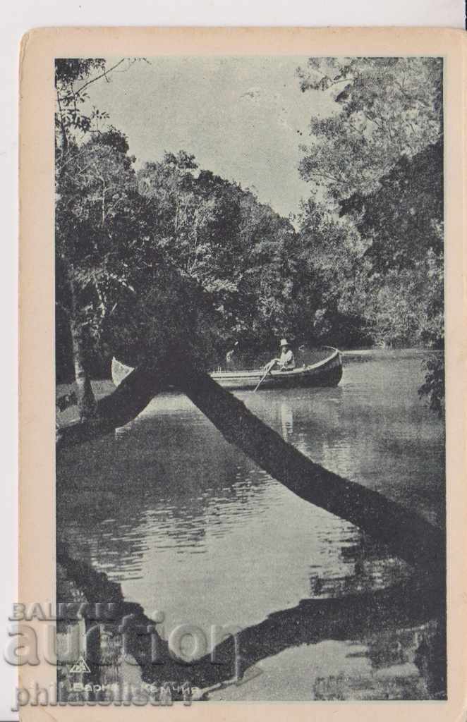 VARNA CARD - VIZE despre 1955 În 191