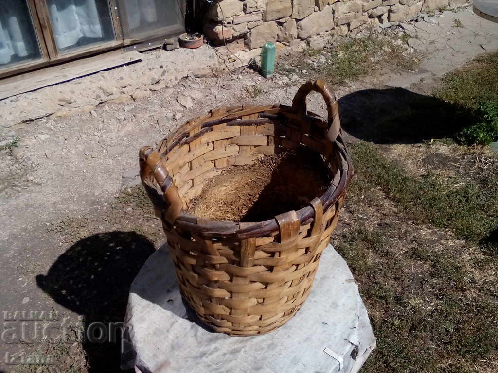 Auction  Ancient kangaroo with the tamarind