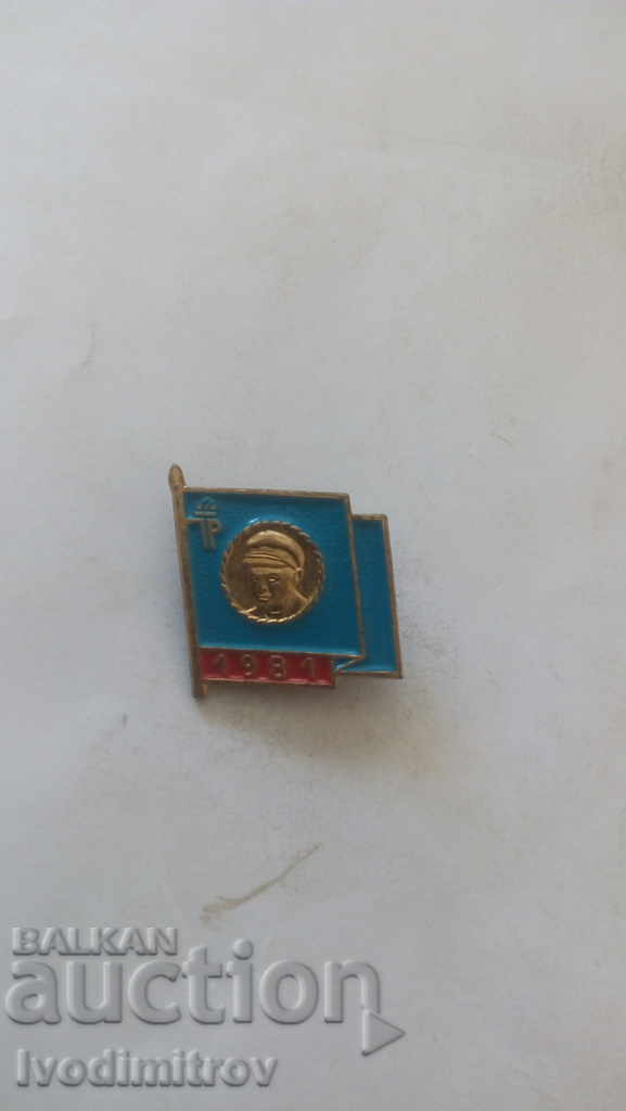 Pin GDR TP 1981