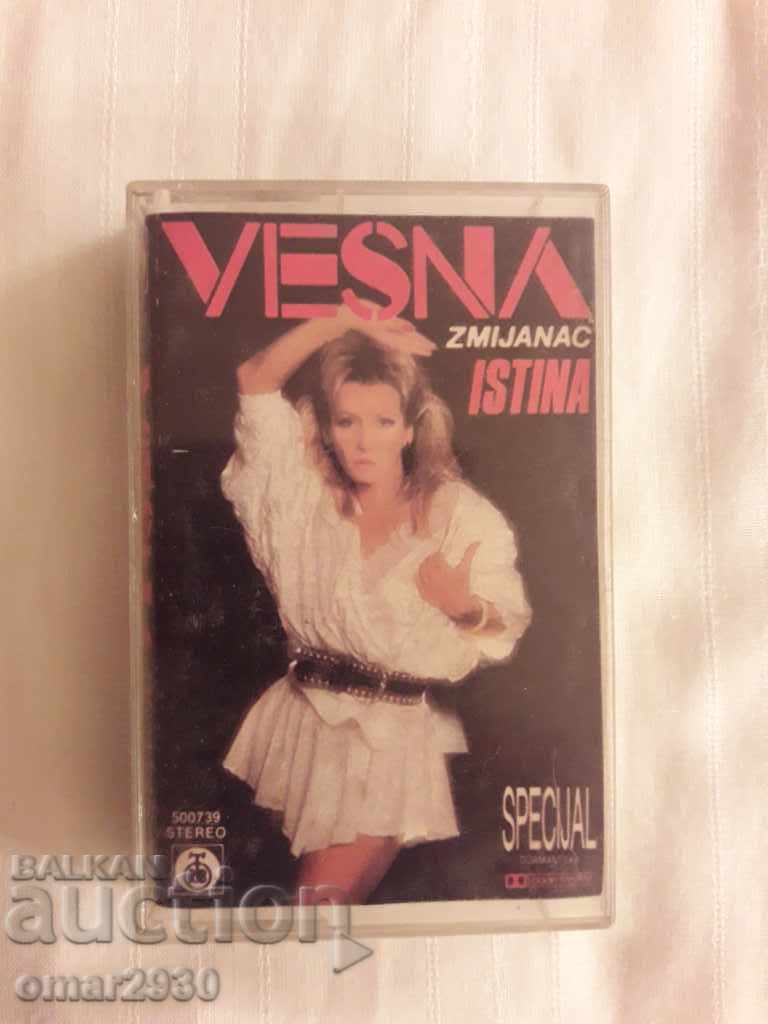 Original audio tape of VESNA ZMIYANATS