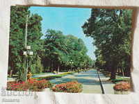 Сандански градският парк 1986   К190