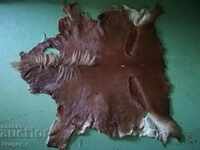 Horse leather Р 2