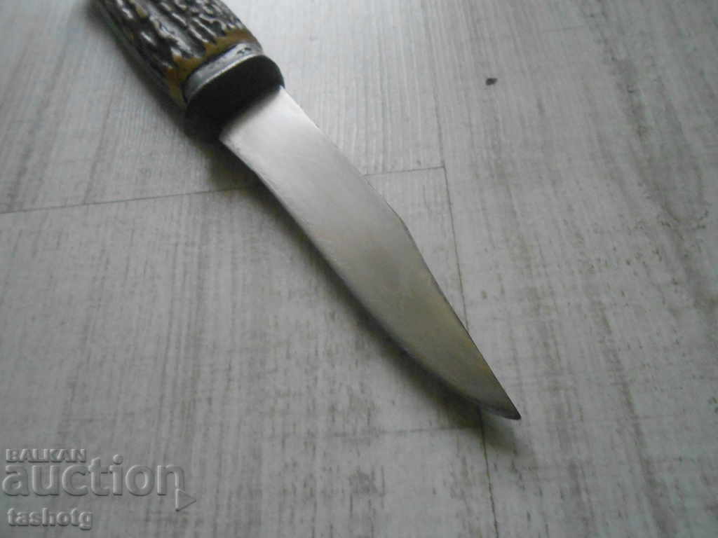 Livrarea RED STAR HUNTING BUCK MIKOV !!! Livrarea RED STAR HUNTING BUCK MIKOV !!!