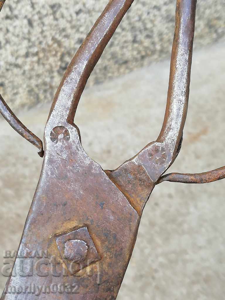 Delivery of Renaissance forged scissors, wrought iron Delivery of Renaissance forged scissors, wrought iron