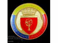 Heraldic-Coat-of-town Ones-Bocaw County-Romania-Onesti
