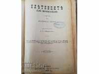 Bloody 1st Edition 1888 novel Hugo book