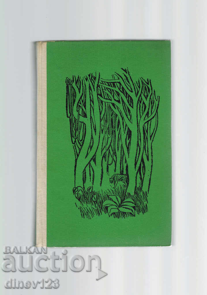 STORIES OF JUNGLE - 6