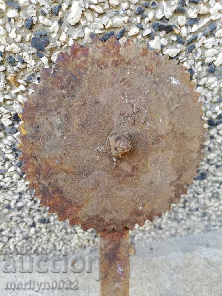 Sarah Instrument - 6 Sarah Instrument - 6