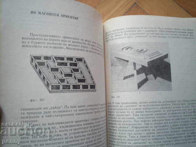 ELECTRONIC MODELS OF ANIMALS - IVAN GEORGIEV - 6