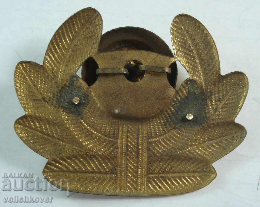 22316 Bulgaria Kokarda Air Force Air Force smalt cu preț 10.00 BGN | € 5.11