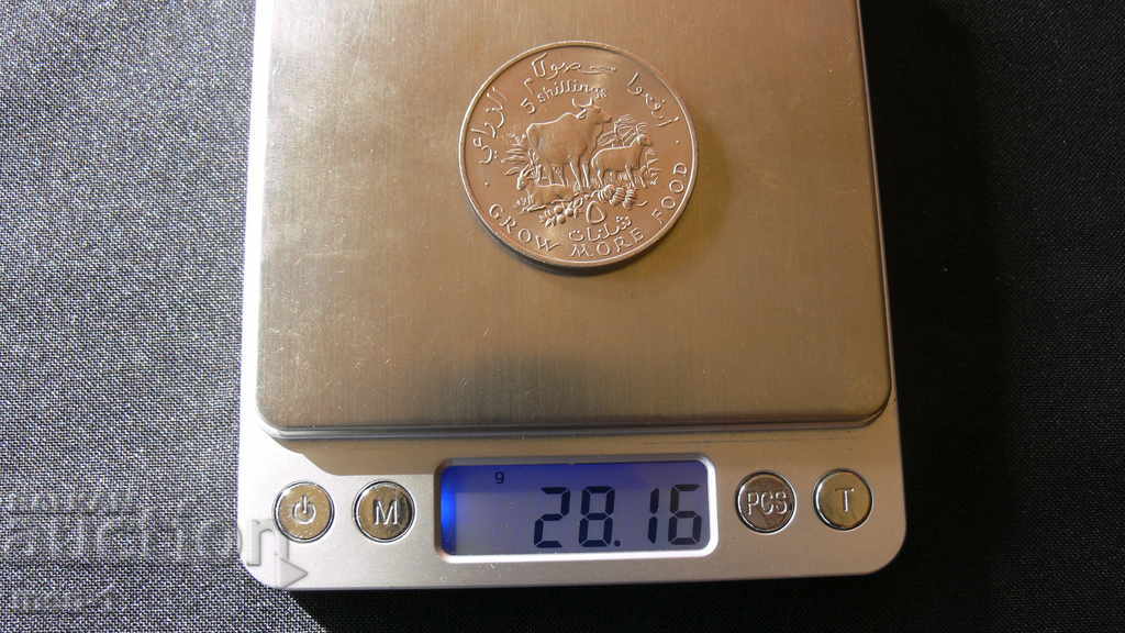 Licitație 5 shilling 1970 - Somalia Licitație 5 shilling 1970 - Somalia