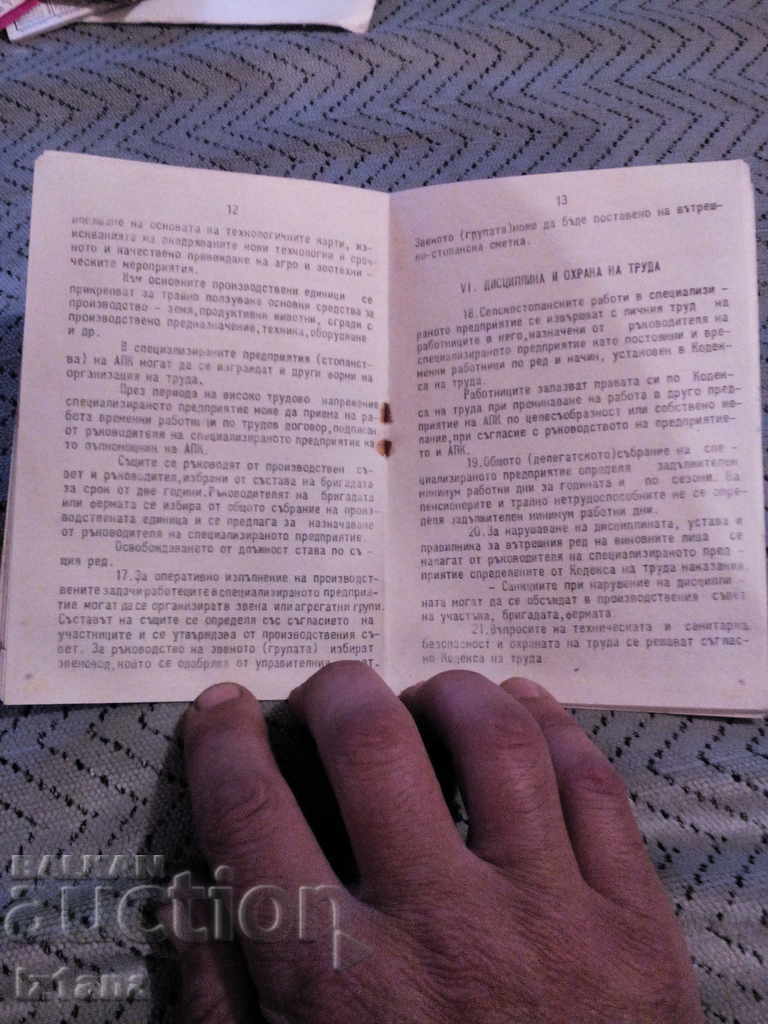 Auction  Exemplary Statutes of the SPC in the APC