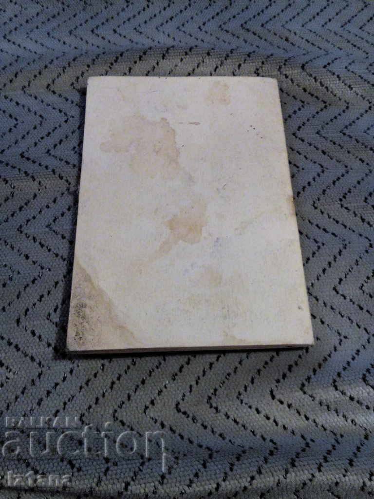 Delivery of Exemplary Statutes of the SPC in the APC