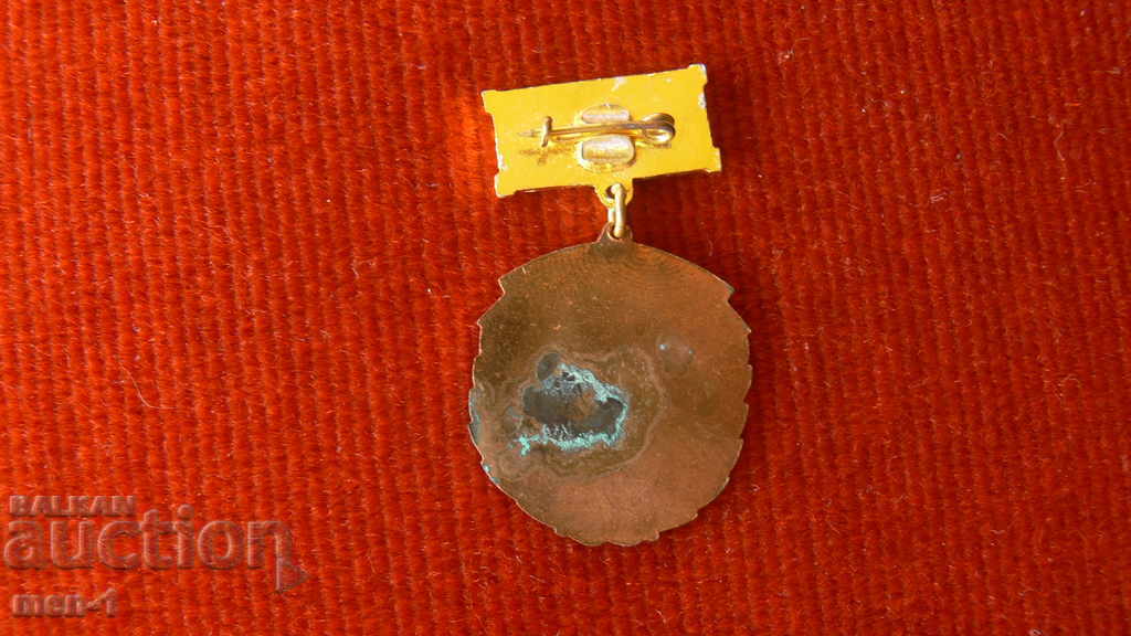 Badge - SPC For labor honors GUSV with price 8.00 BGN | € 4.09 Badge - SPC For labor honors GUSV with price 8.00 BGN | € 4.09
