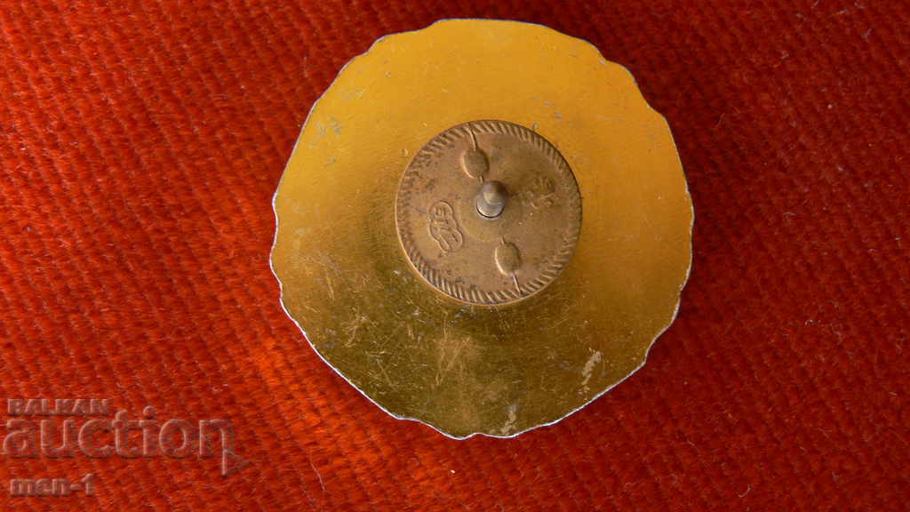 Embroidered sign Parvanes with price 20.00 BGN | € 10.23 Embroidered sign Parvanes with price 20.00 BGN | € 10.23