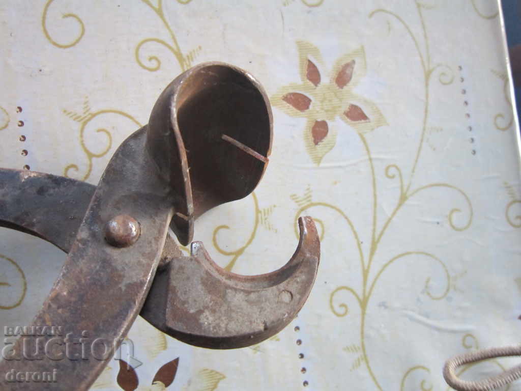 Auction  Special profile pliers for bergamon tube early wounds