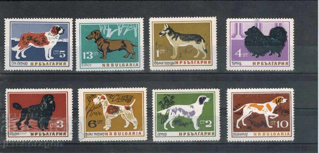 Bulgaria - Colecția de câini 1960 - 1997 MNH cu preț 20.00 BGN | € 10.23 Bulgaria - Colecția de câini 1960 - 1997 MNH cu preț 20.00 BGN | € 10.23