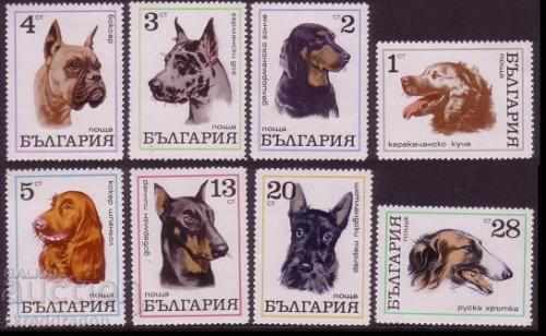 България - Колекция Кучета 1960 - 1997 MNH
