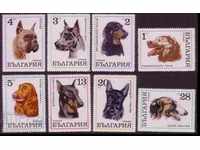 Bulgaria - Colecția de câini 1960 - 1997 MNH