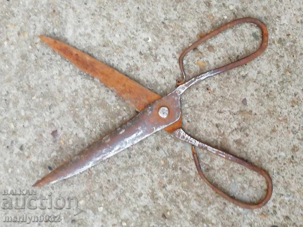 Delivery of Renaissance forged scissors, wrought iron